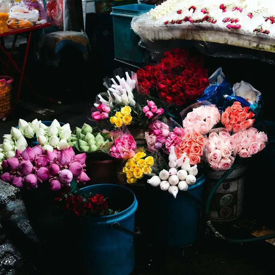 Hình ảnh tại Trương Thị Cẩm Bích 4